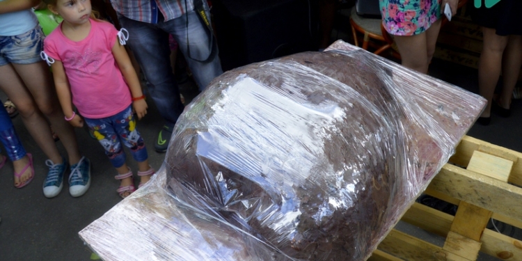 В Николаеве разрезали самое большое в Украине шоколадное сердце