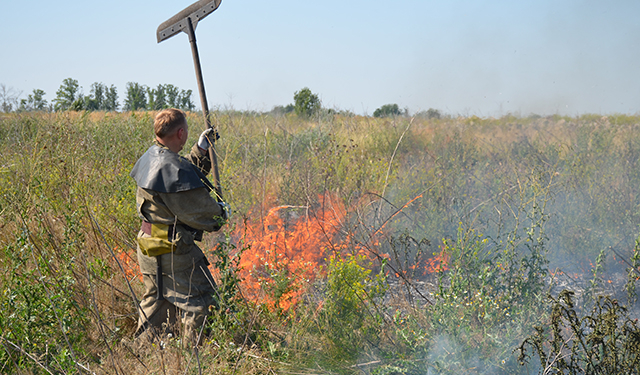 Огонь в Кульбакино захватил 30 га. Но к вечеру его потушили