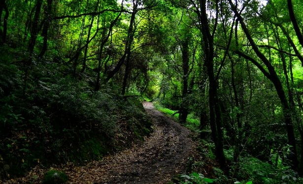 В Непале арестовали мужчину, который ел своих соседей и родственников