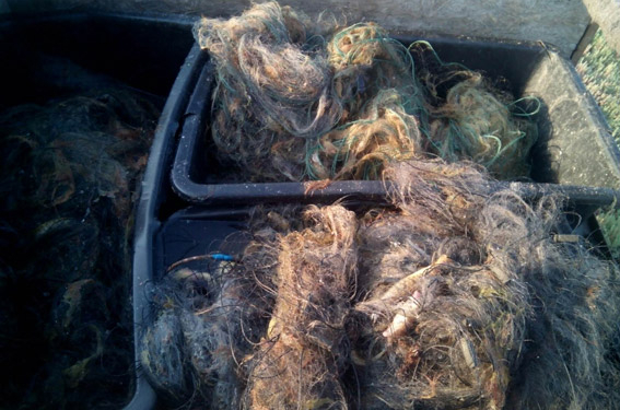 В Николаевской области браконьеры ранили милиционера