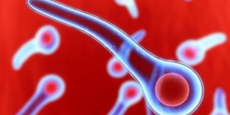 Столбняк вернулся в Киев через семь лет, в больнице вакцины не оказалось – женщину от смерти спасли волонтеры