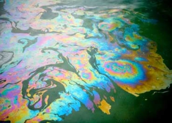 ГЭИ Северо-Западного региона Черного моря выяснила, как нефтяные пятна попали в Бугский лиман, и уже сигнализировала в прокуратуру Николаева