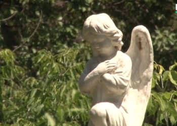 Это наша история: Николаевскому некрополю – 220 лет