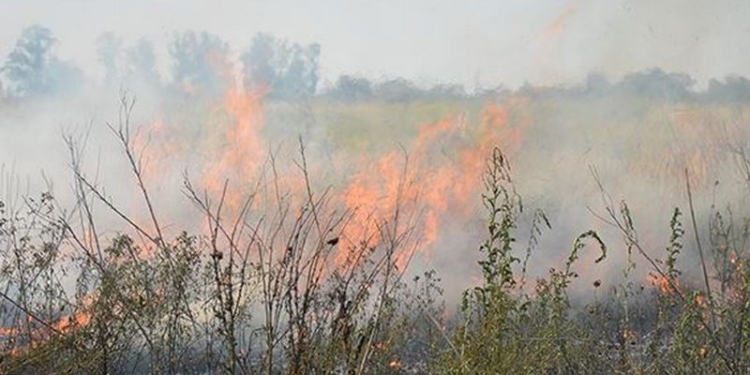 Николаевская область: за минувшие сутки спасатели 10 раз тушили пожары в экосистемах