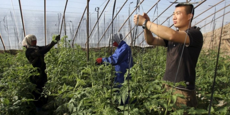 Миграция китайцев в Россию меняется качественно – эксперт