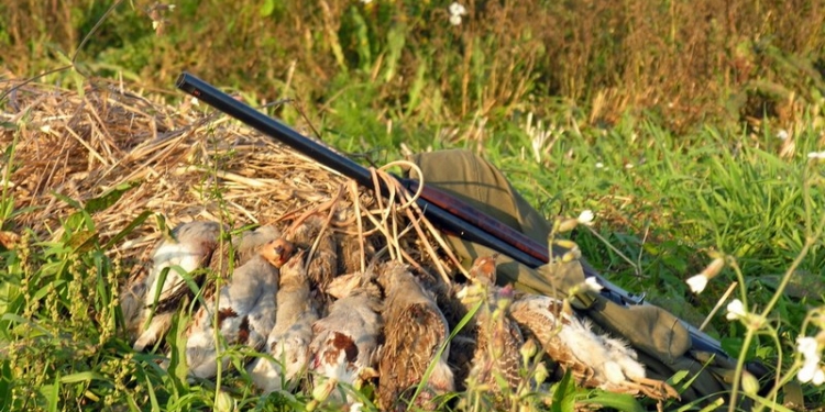 Николаевский облсовет передал в пользование 32 тысячи гектаров охотничьих угодий