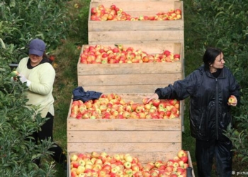 Вопреки прогнозам. Польша бьет рекорды, несмотря на российское эмбарго