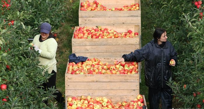 Вопреки прогнозам. Польша бьет рекорды, несмотря на российское эмбарго