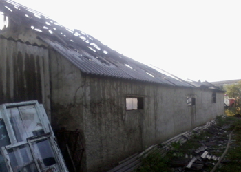 В Николаевской области на пожаре сгорело 40 свиней