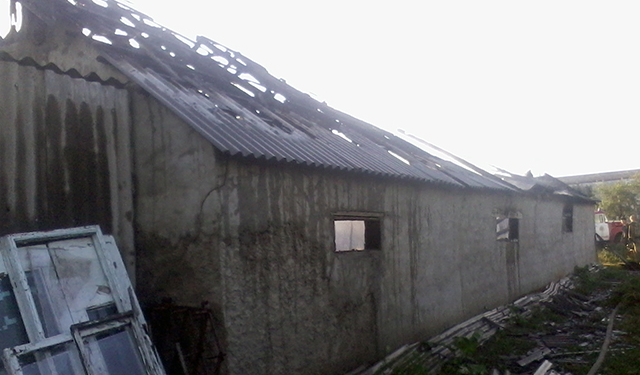 В Николаевской области на пожаре сгорело 40 свиней