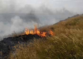 Возле Коблево большой пожар – огонь охватил 40 га степи