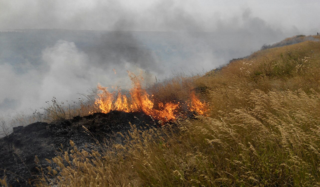 Возле Коблево большой пожар – огонь охватил 40 га степи