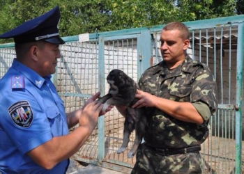 В Николаеве собаки с милицией учились искать взрывчатку