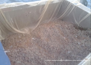 В Ягорлыцком заливе егерь заповедника выловил 350 кг креветки, а в Днепро-Бугском лимане гражданин – 40 кг рыбы 240-метровыми сетями