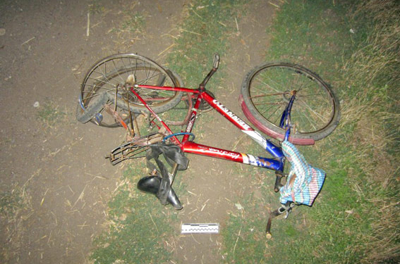 Водитель «Мазды», сбивший в Кривоозерском районе велосипедиста, спрятался в лесополосе. Но ненадолго