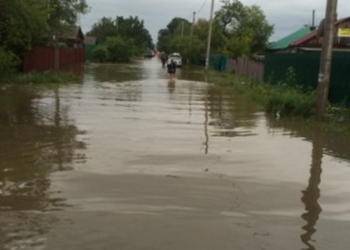 В России во время паводка затопило зоопарк, погибли животные