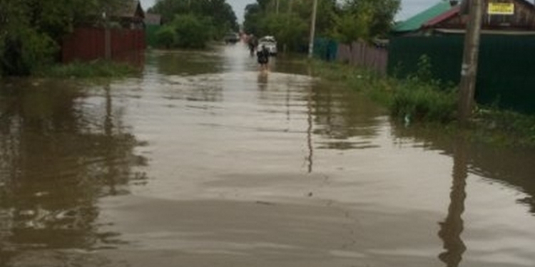 В России во время паводка затопило зоопарк, погибли животные