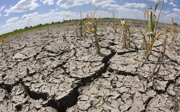 В ближайшую декаду дожди в Украине не ожидаются