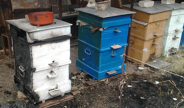 В результате неосторожного обращения с огнем на Николаевщине горела пасека