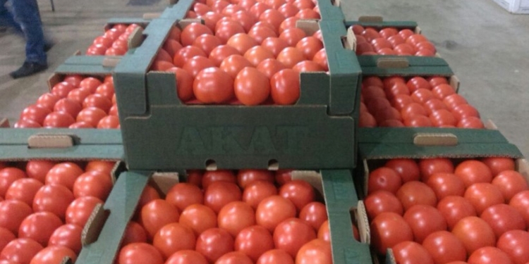 На границе с РФ водитель угнал грузовик с помидорами, спасая их от уничтожения