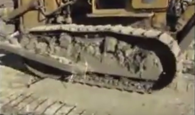 В Татарстане 10 человек и бульдозер целый день уничтожали трех санкционных гусей