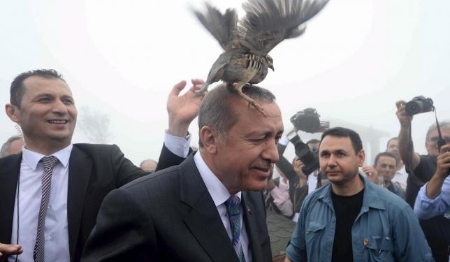 На президента Турции Эрдогана напал…рябчик