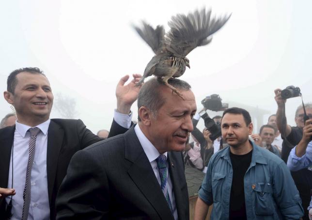 "Если кто-то и должен принести извинения, то это не мы". Эрдоган не будет извиняться перед Путиным за сбитый Су 1