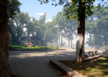 На склонах у Ингульского моста в Николаеве загорелась трава. Вся Набережная – в дымовой завесе