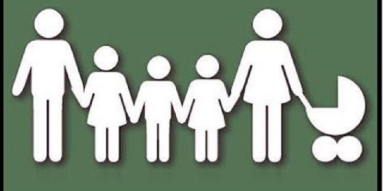 Президент Украины присвоил звание «Мать-героиня» 980 многодетным материям. Из них 28 – представительницы Николаевщины