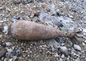 Не пирожок однако: по дороге на работу в Пересадовке мужчина нашел минометную мину