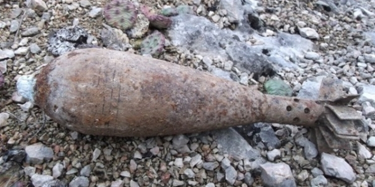 Не пирожок однако: по дороге на работу в Пересадовке мужчина нашел минометную мину