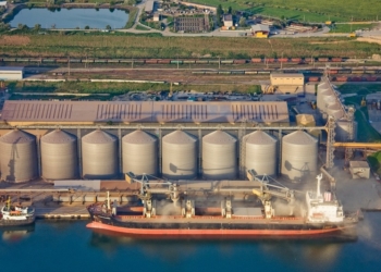 Налоговики арестовали партию зерна в николаевском порту на судне Bunge Limited