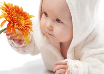 Нерадостная статистика: в подавляющем большинстве николаевских семей – только один «цветок жизни»