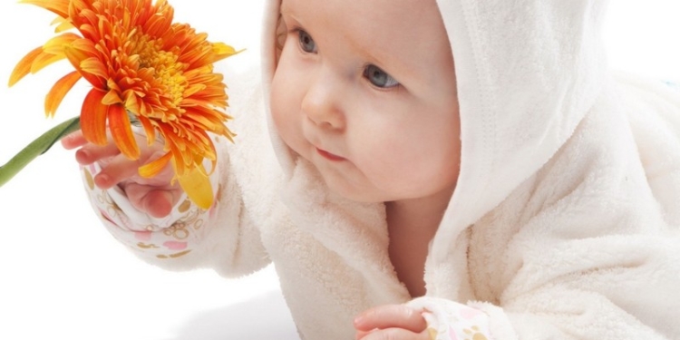 Нерадостная статистика: в подавляющем большинстве николаевских семей – только один «цветок жизни»