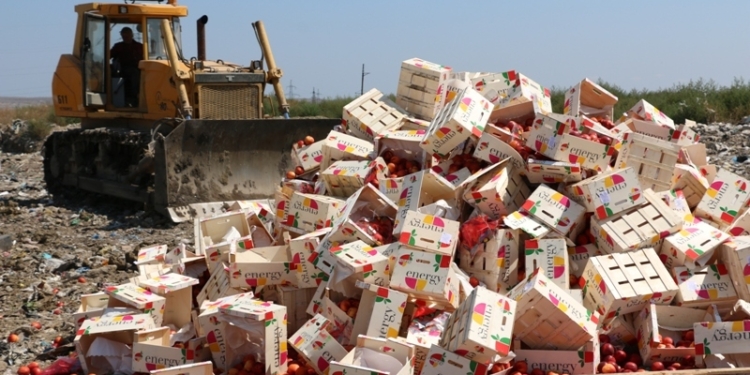 В Крыму на свалке похоронили 4 тонны нектаринов из Литвы