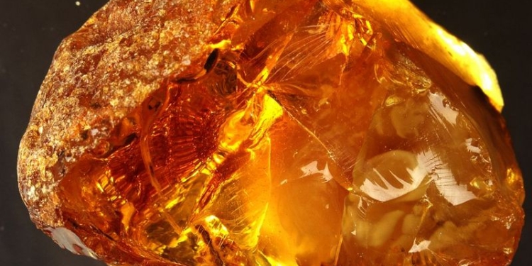 В подпольном цехе по обработке янтаря в Киевской области работали китайцы