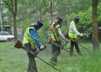 ЖЭК Пелипаса и сына Чайки получил подряд на покос травы в Центральном районе Николаева