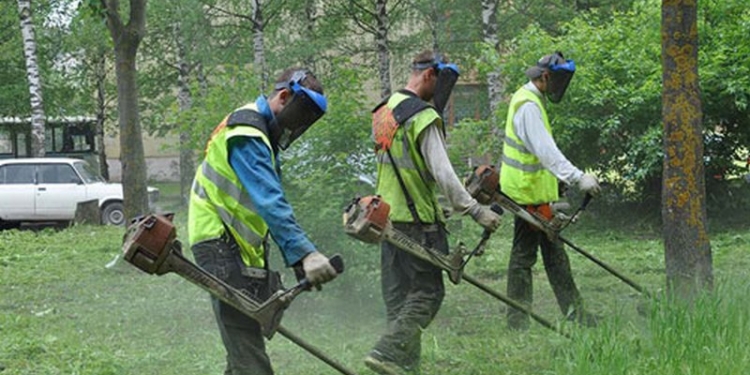 ЖЭК Пелипаса и сына Чайки получил подряд на покос травы в Центральном районе Николаева