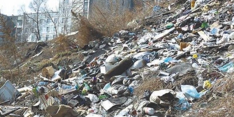 На ликвидацию несанкционированных свалок в Центральном районе из бюджета Николаева направят 2,5 миллиона гривен