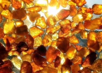 В Ровенской области милиция задержала партию незаконно добытого янтаря на сумму $3 миллиона