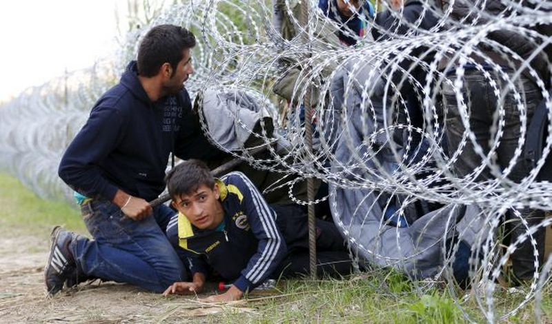 Наблюдатели: 11 беженцев из Сирии убиты при попытке пересечения турецкой границы 1