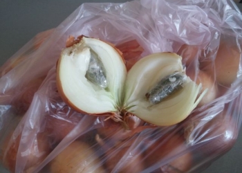 Наркотики в луковице к заключенному Николаевского СИЗО не попали