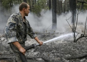 Чтобы потушить торфяники под Киевом, завтра в Украине будут молиться о дожде