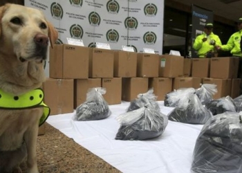 Полицейские Колумбии и Мексики совместно задержали 2 тонны кокаина