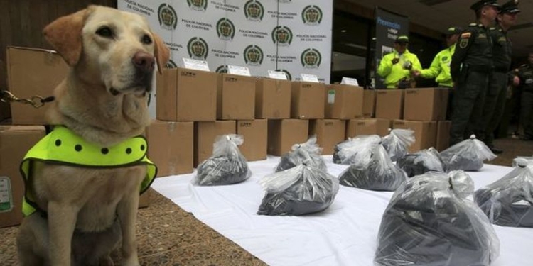 Полицейские Колумбии и Мексики совместно задержали 2 тонны кокаина