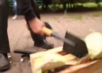 Москвичи во главе с мэром топором и пилой уничтожали польскую капусту и австралийские бананы и были счастливы…