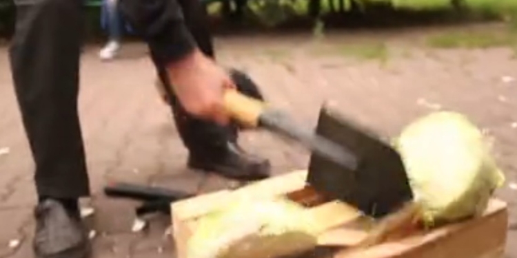 Москвичи во главе с мэром топором и пилой уничтожали польскую капусту и австралийские бананы и были счастливы…