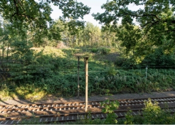 В Польше к поиску “золотого поезда” нацистов подключилась армия. Народ тоже пошел в леса