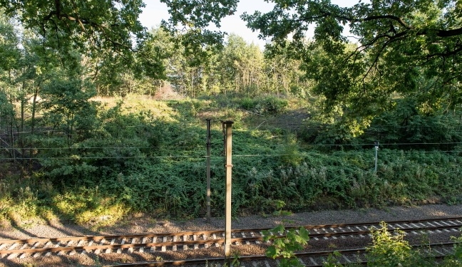 В Польше к поиску “золотого поезда” нацистов подключилась армия. Народ тоже пошел в леса