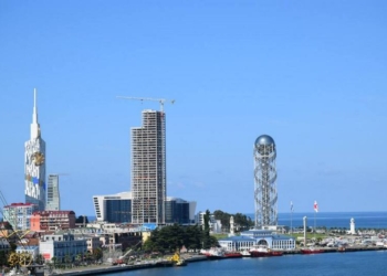 Порт, завод по упаковке цитрусовых и будущий Дом вина – николаевской делегации  в Батуми показали ряд интересных объектов